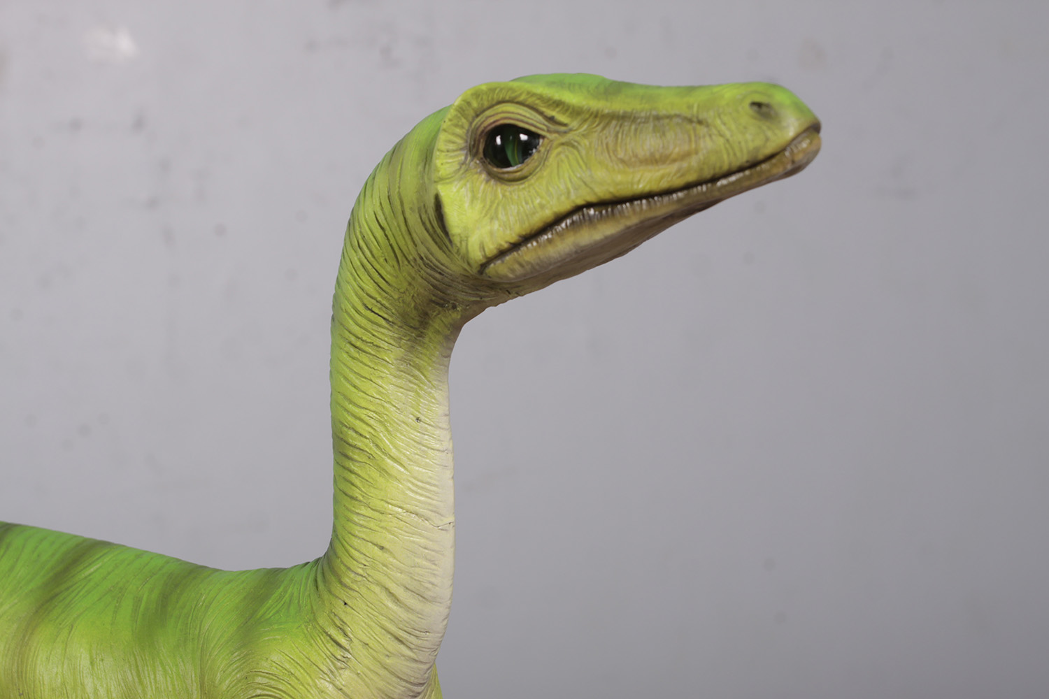 compsognathus fossil for sale