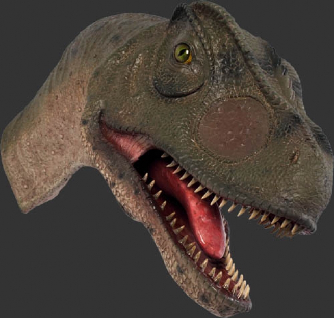 allosaurus head