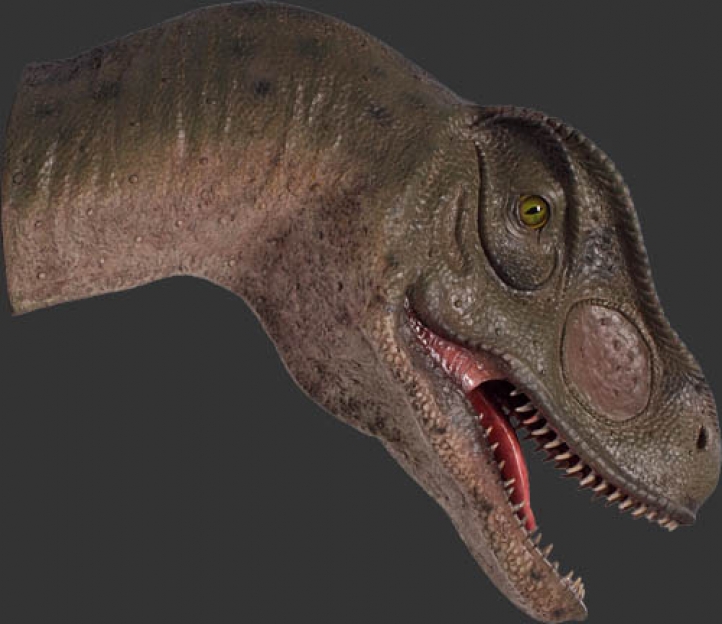 allosaurus head