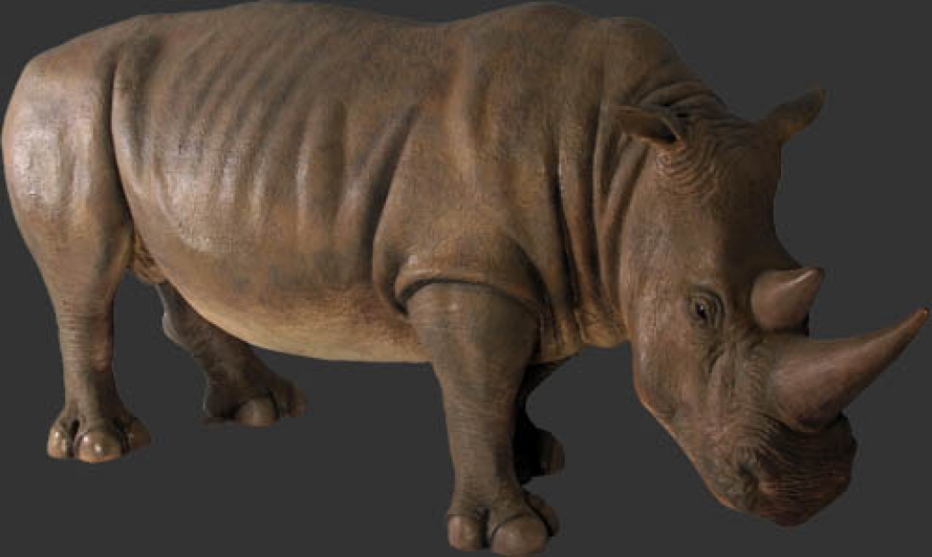 rhinoceros dinosaur