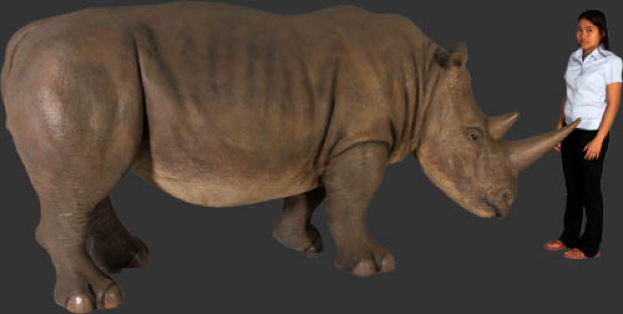 rhinoceros a dinosaur