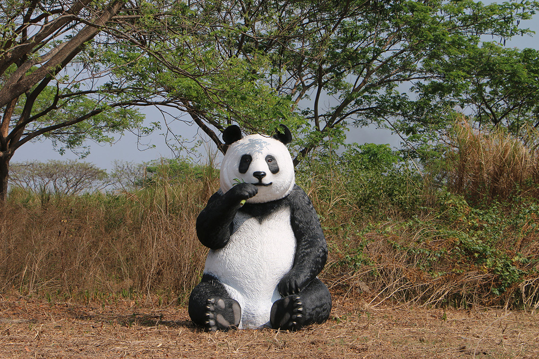 Manda panda custom videos