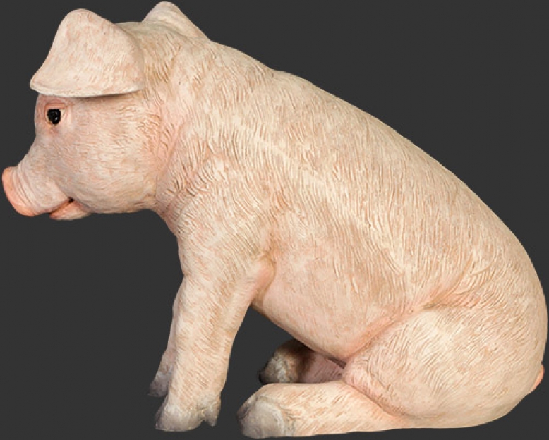 120074 Sitting Piglet ( 120074 ) | Dinosaur Resin Replica | Farm